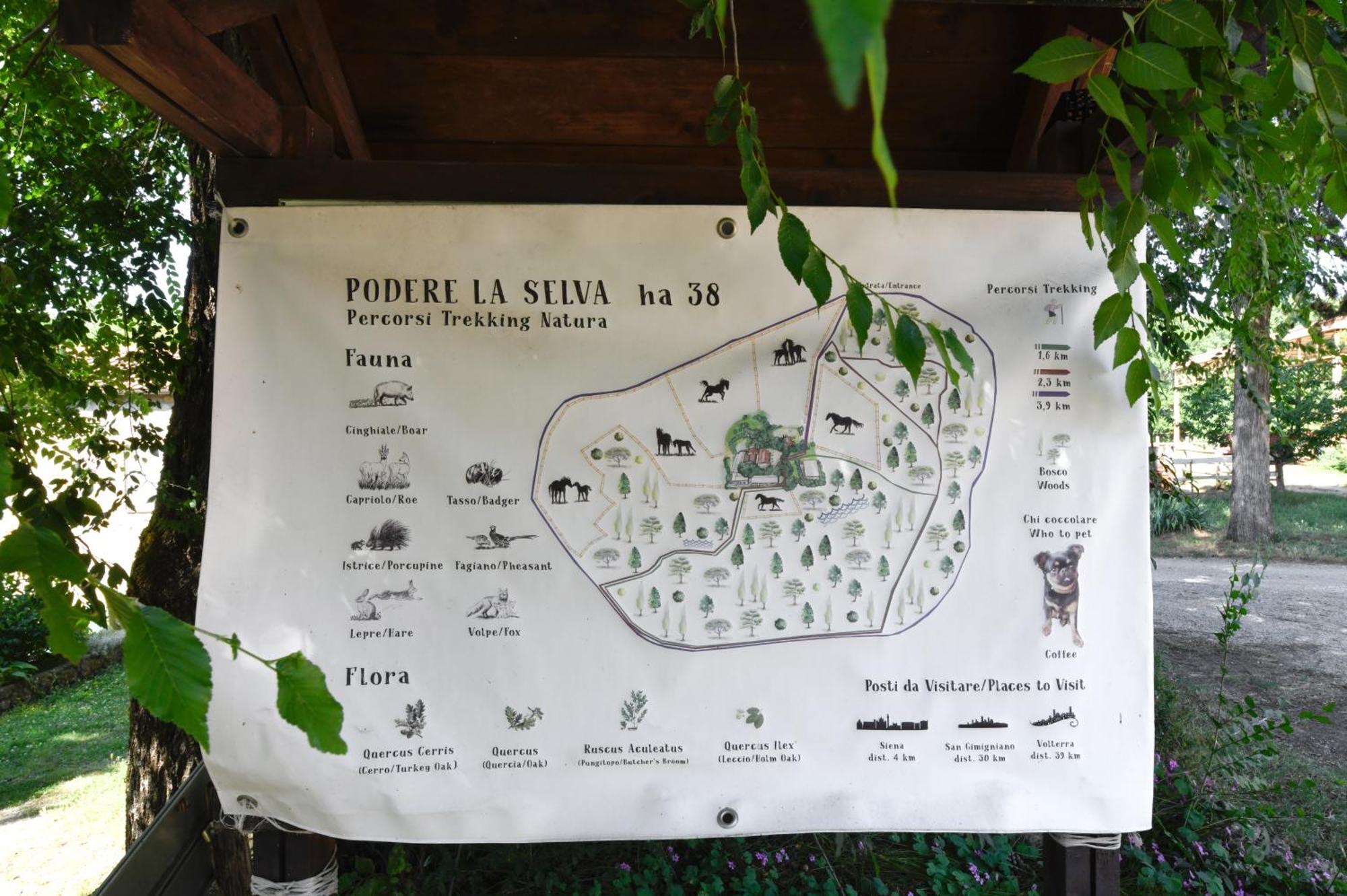 Agriturismo La Selva Villa Siena Eksteriør bilde
